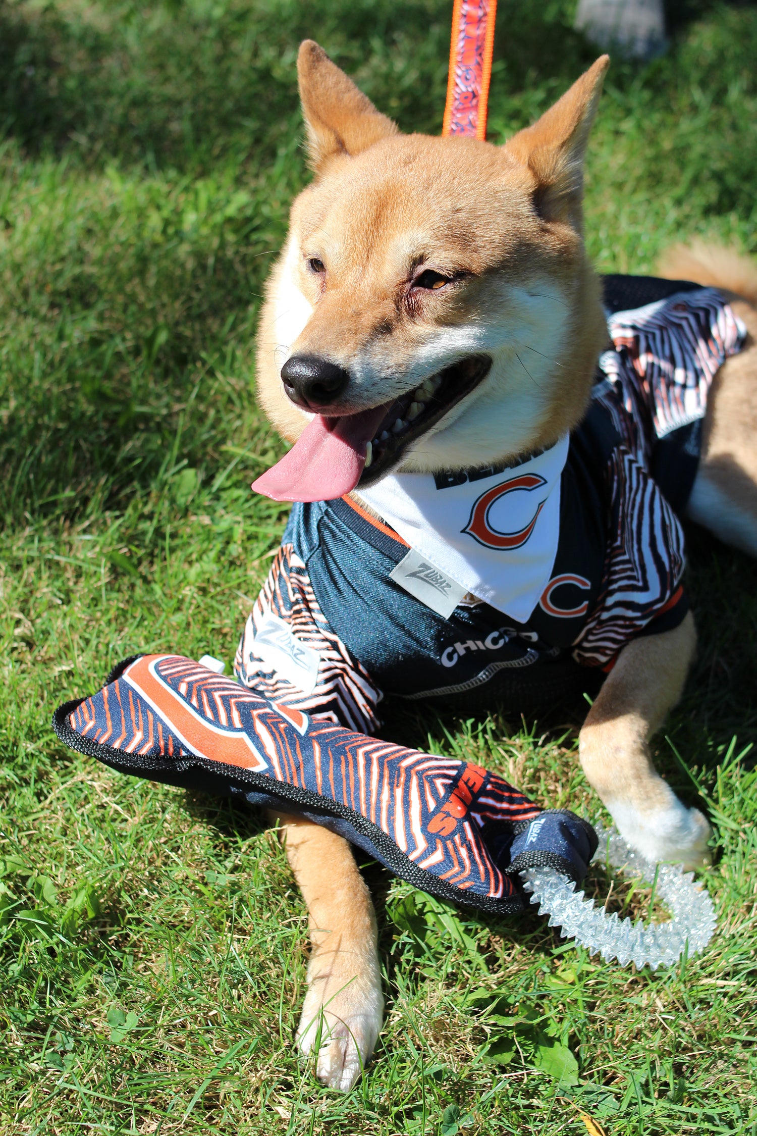 Zubaz x Pets First NFL Atlanta Falcons Reversible Bandana for Dogs & Cats