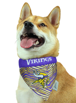 Minnesota Vikings NFL Dog Leash