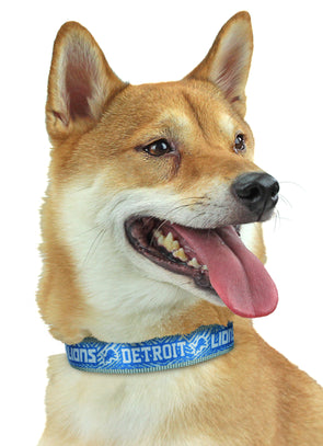 Detroit Lions Dog Collar - Gray