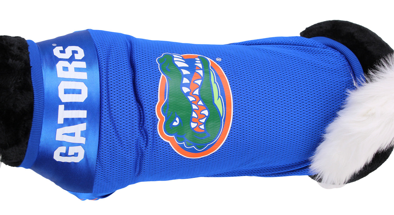 gators dog jersey