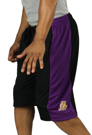 Zipway Nba Los Angeles Lakers Pinstripe Jersey, Shirts