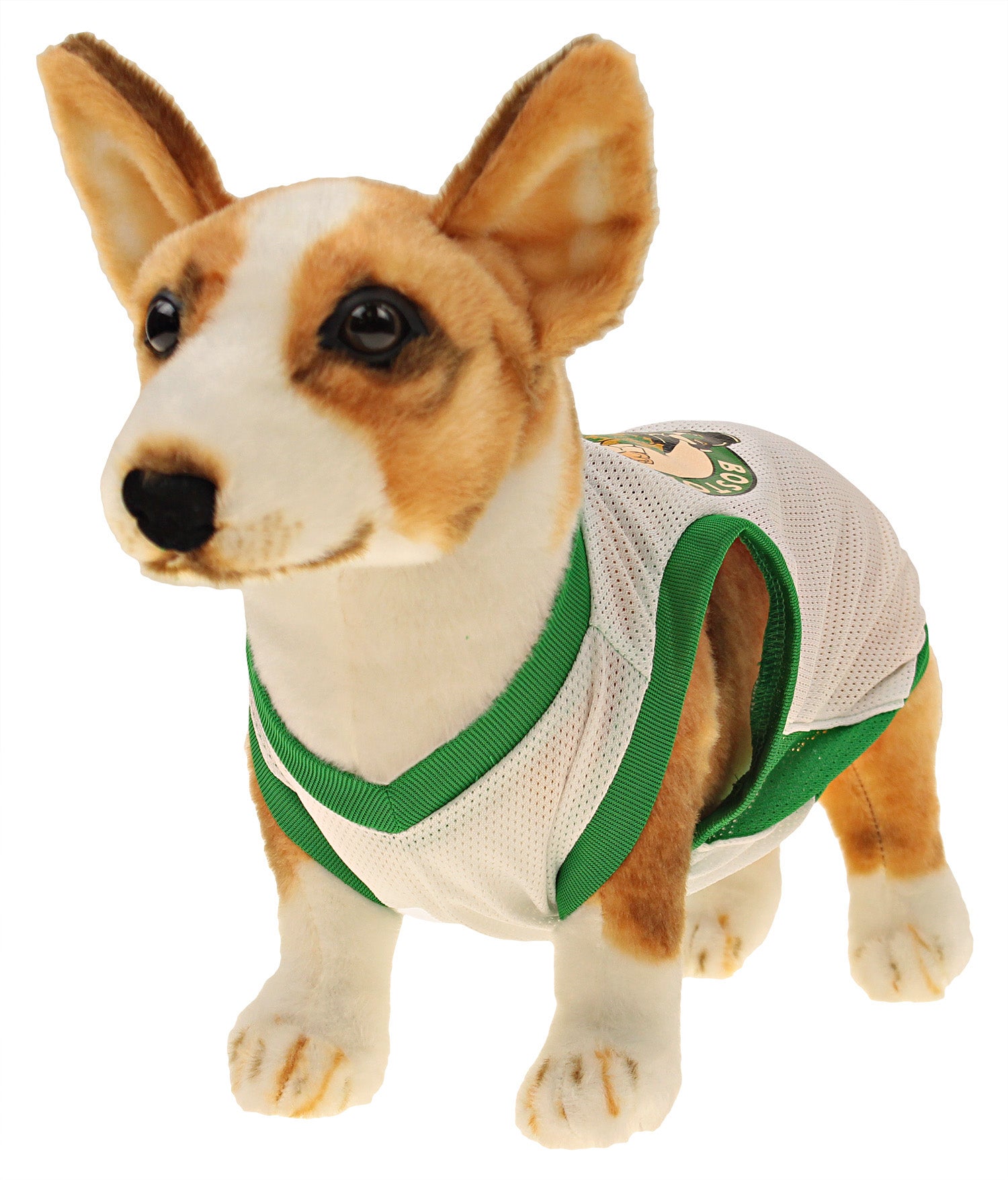 celtics dog jersey