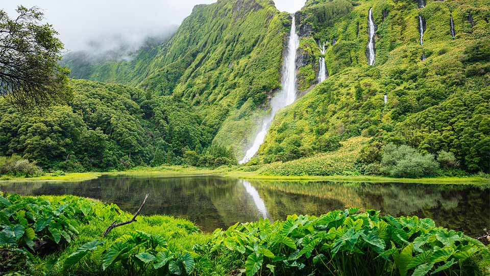 Flores| Meet the Azores: Discover the Portuguese paradise in the middle of the Atlantic Ocean