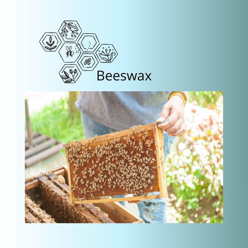 Beeswax.jpg__PID:ed690a28-3ec2-4dd2-851f-f721c37af791