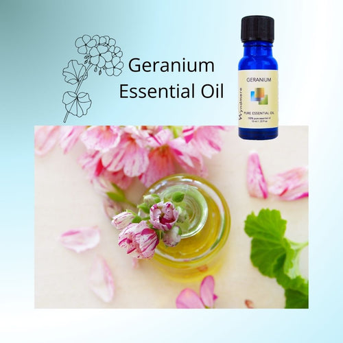 Wyndmere Geranium Essential Oil, geranium plants and clear bottle with oil.