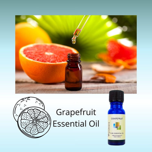 Wyndmere Grapefruit Essential Oil 10ml blue bottle, grapefruit with amber bottle with dropper of oil.