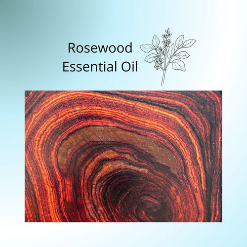 Rosewood Essential Oil, rosewood cut showing growth rings.