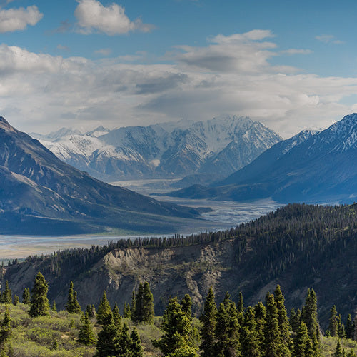 Mountain Range with a lake and forests surrounding it.