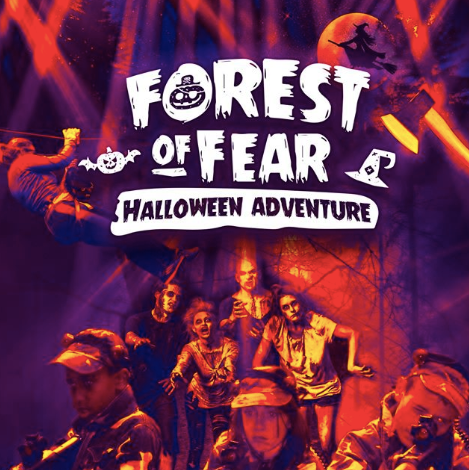 Forest of Fear Halloween Family Adventure Event In Carlingford, Ireland