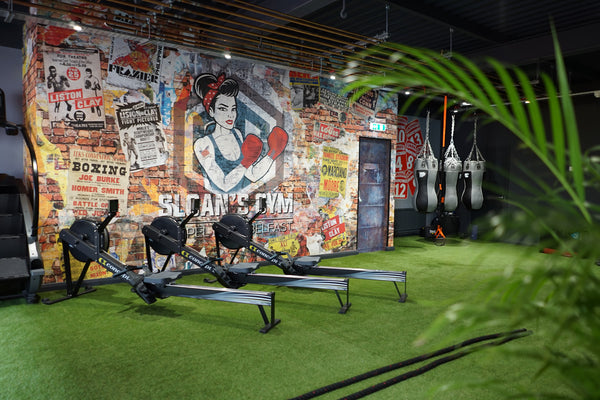 Rowing machines and boxing bags in Sloan's Gym, Belfast.