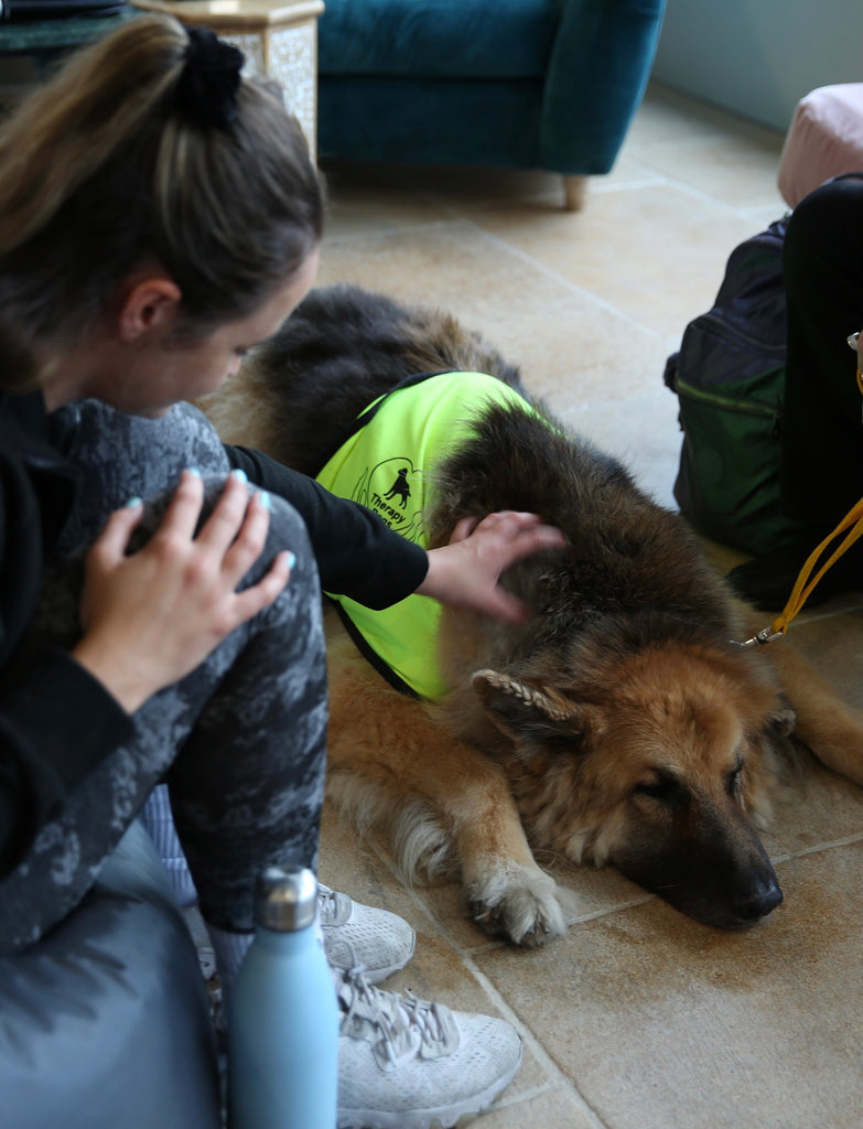 Therapy Dogs were on hand to give everyone a boost and mood lift.