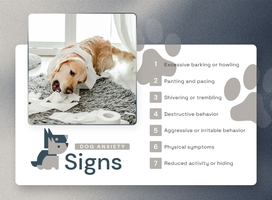 dog anxiety signs
