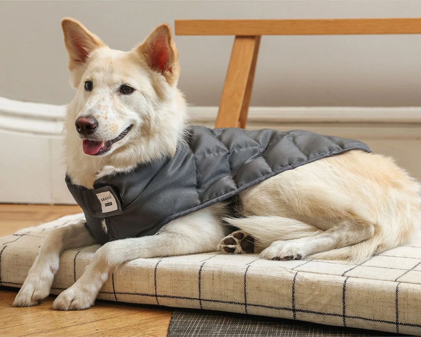gravity blankets dog vest