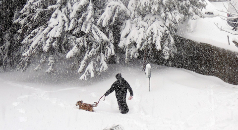 Dog Walking in the Snow with IWOM Convertible Jacket