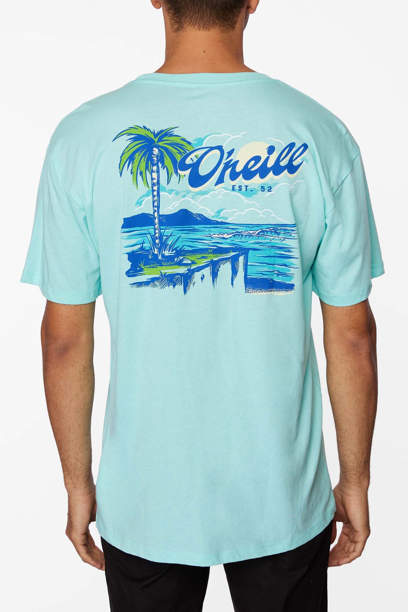 Scenic Tee - Mint | O'Neill