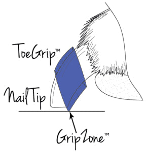 Dog Toenail Grips | Dr. Buzby’s Toegrips® for Dogs