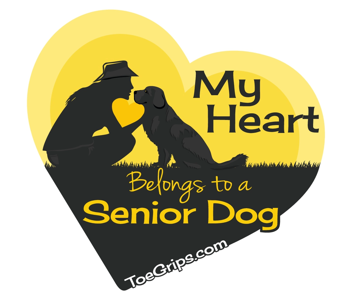 "My ❤️ Belongs to a Senior Dog" Vinyl Sticker - Dr Buzbys ToeGrips for Dogs product image