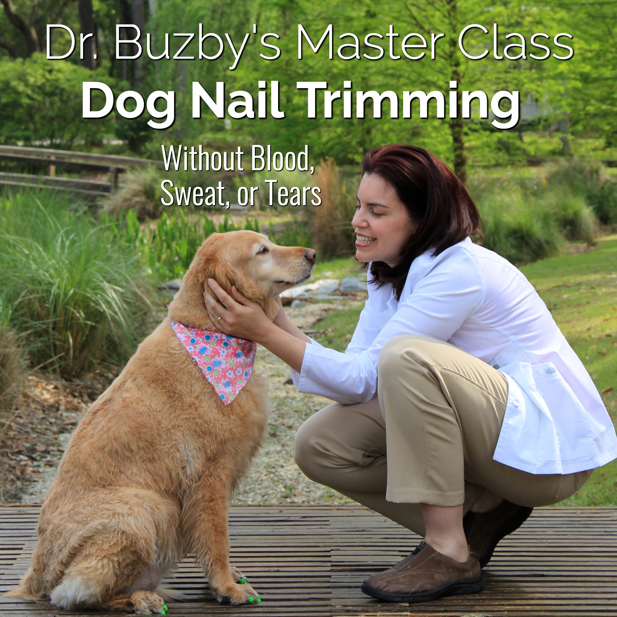 Dr. Buzby's Master Class: How to Trim Your Dog's Nails without Blood, Sweat, or Tears - Dr Buzbys ToeGrips for Dogs product image