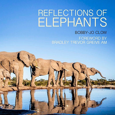 Reflections of Elephants