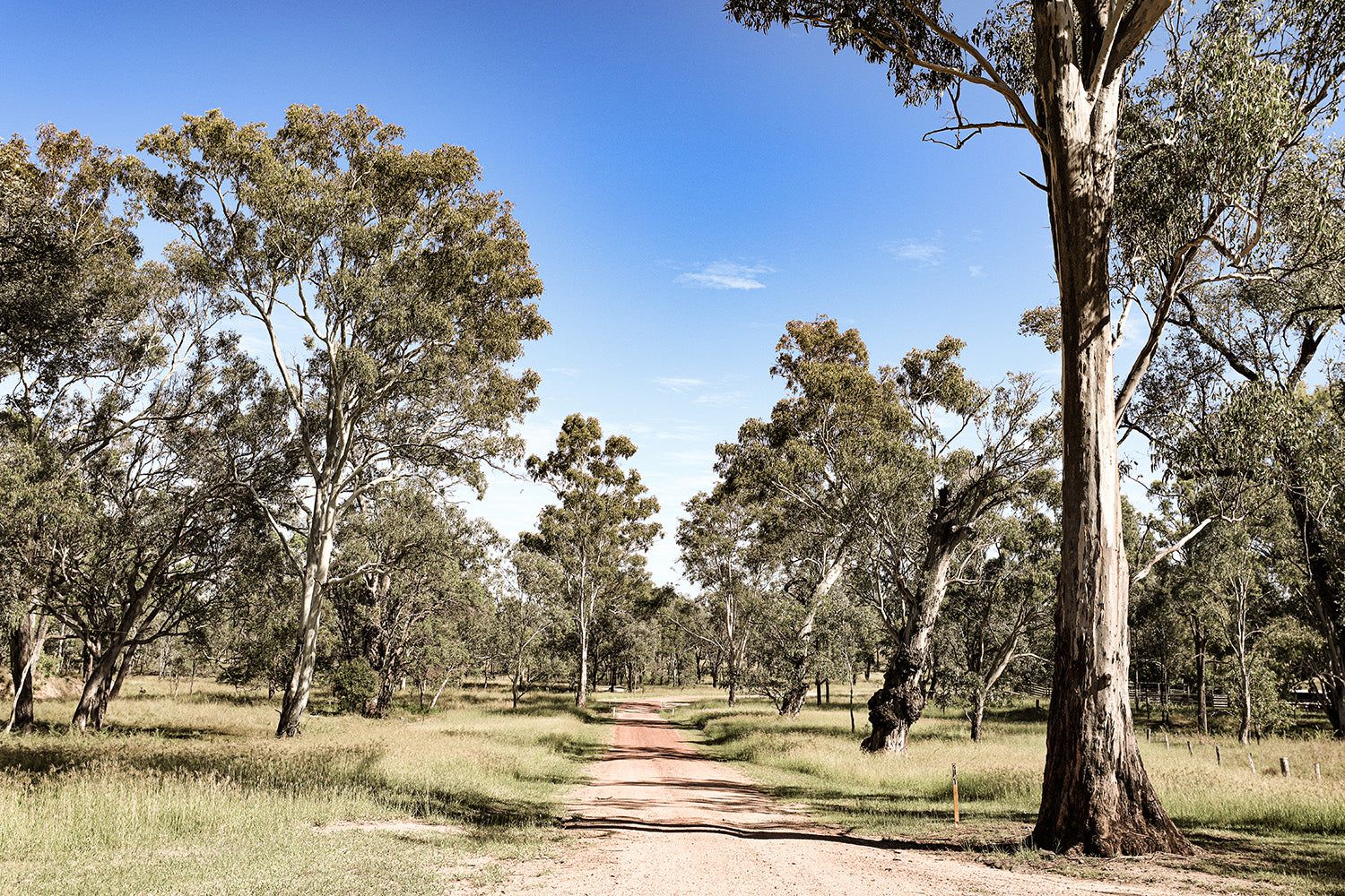 Rural property road at Bloodwood Cabin, Queensland Australia