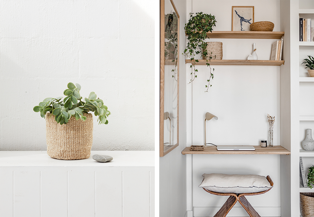 Plants and natural objects in a home office