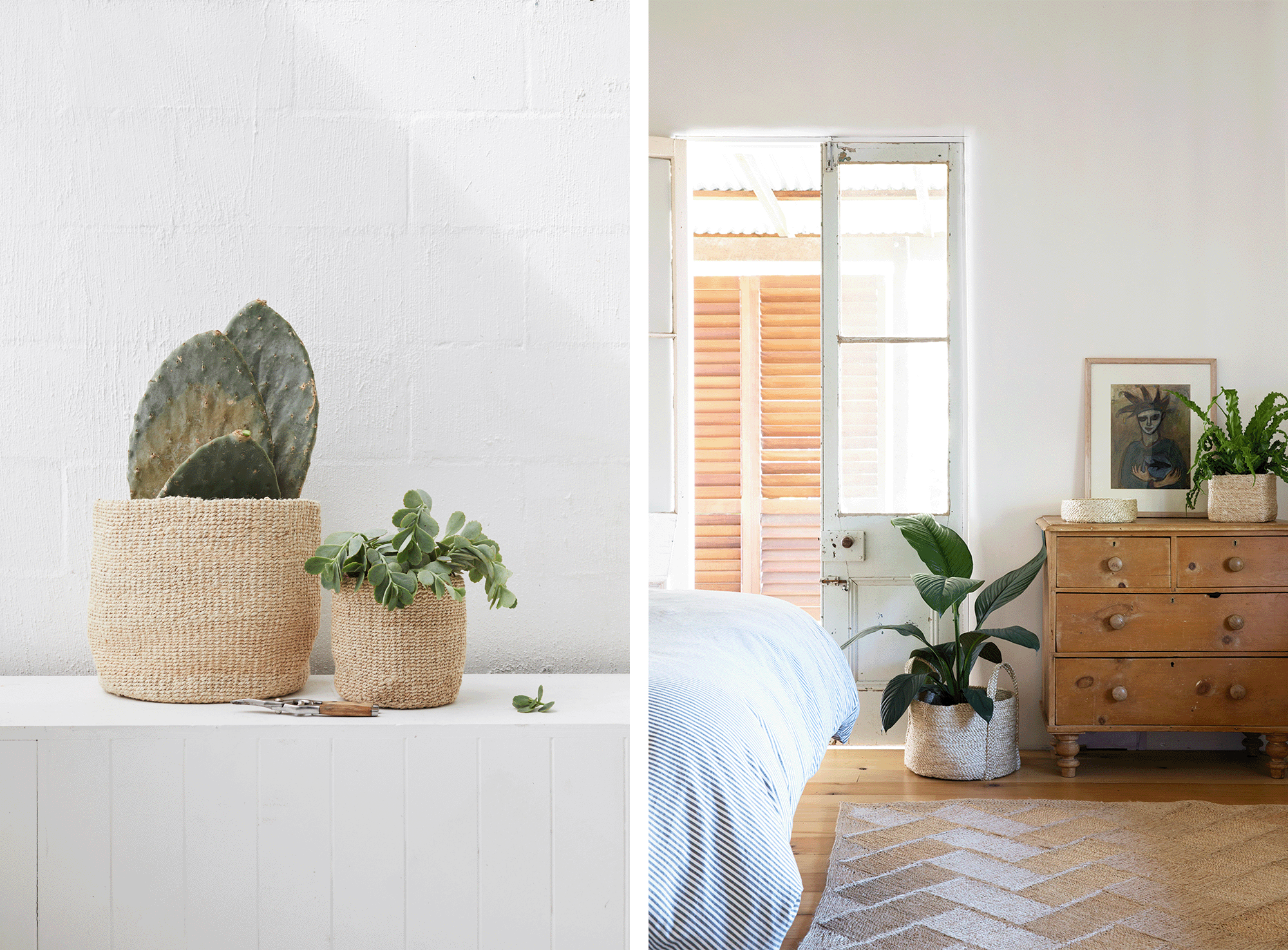 woven jute baskets for plants