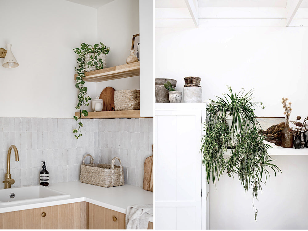 How to layer neutral tones. Plants with natural tones on kitchen shelf