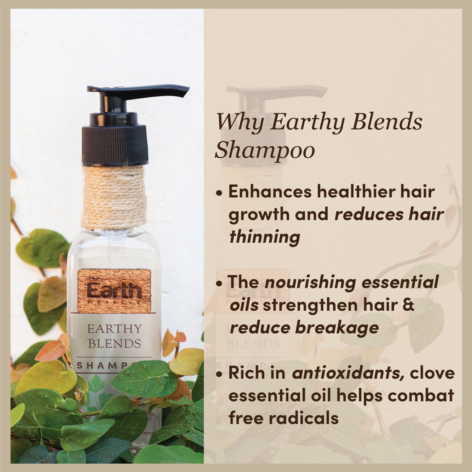 Earthy Blends Collection