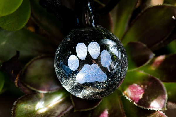 pawprint pendant with cremation ash