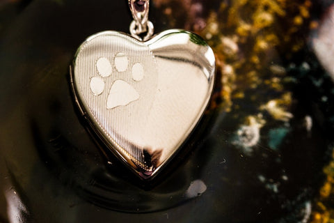 pawprint keepsake urn for ash