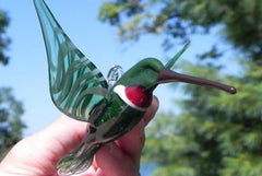 hummingbird with cremation ash