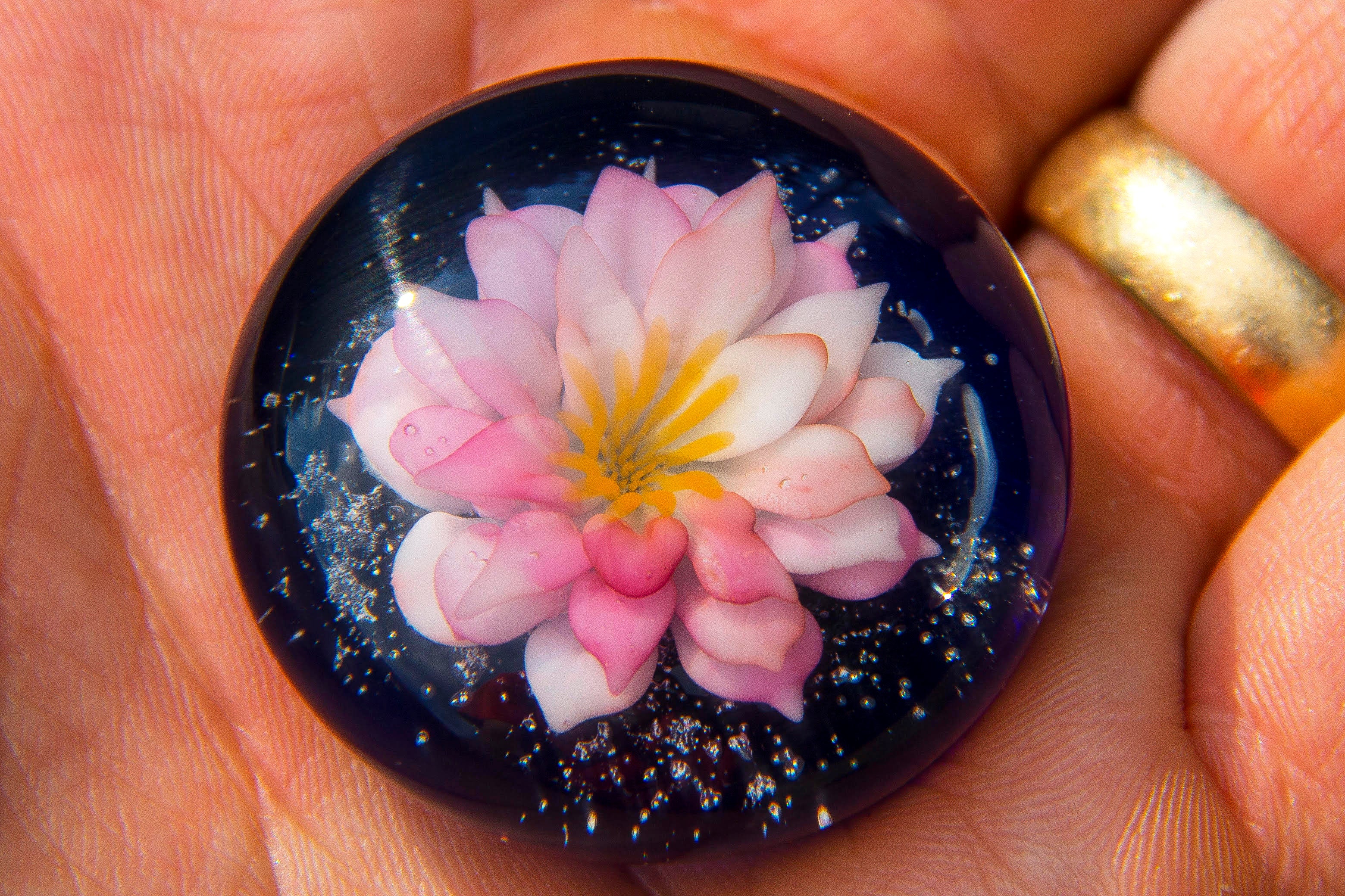 lotus glass