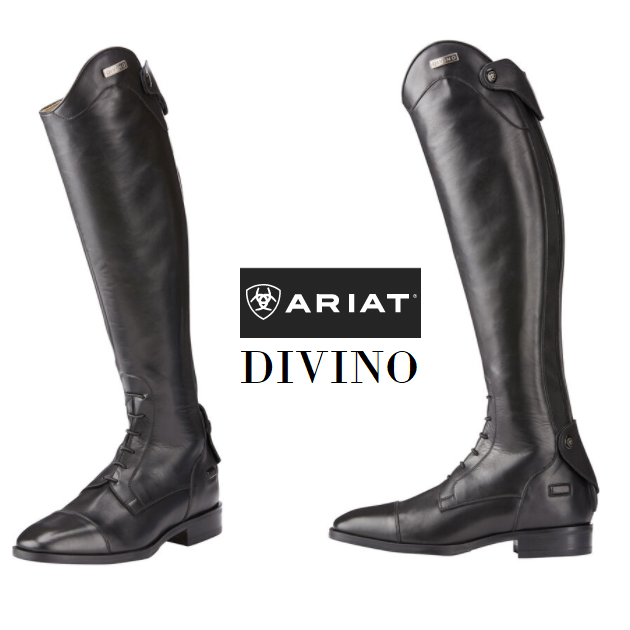 ariat divino