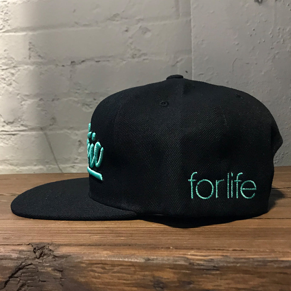 electric snapback hat