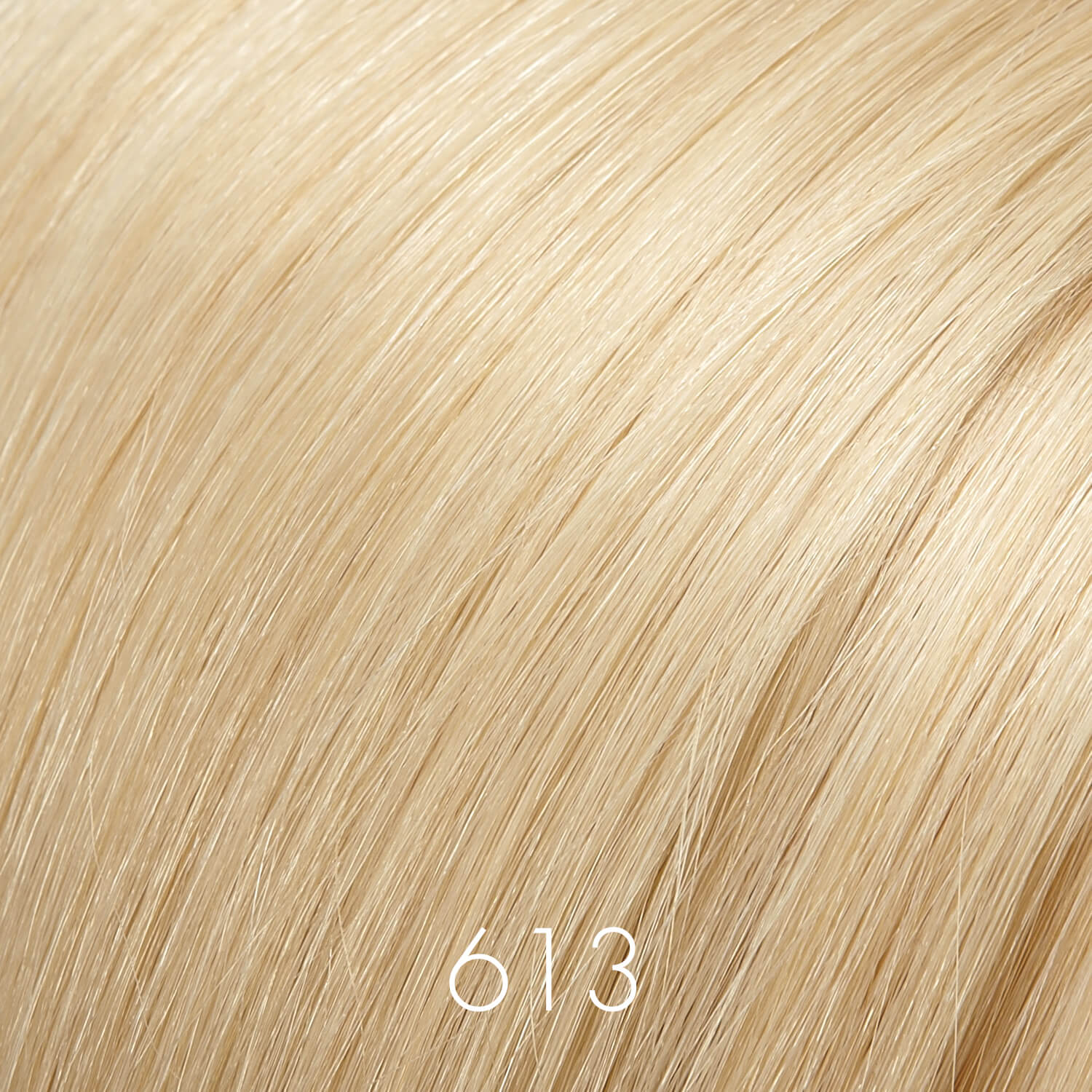 Wig Colour Swatch