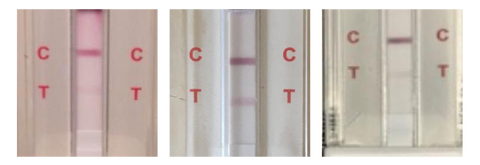 Utest-urine-test-results-shell-shock-edmonton-canada