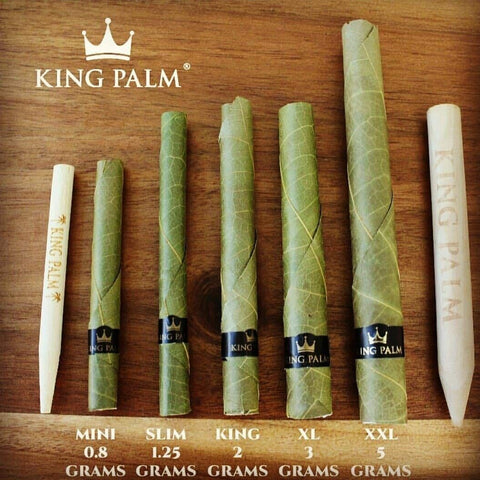 king palm sizes chart