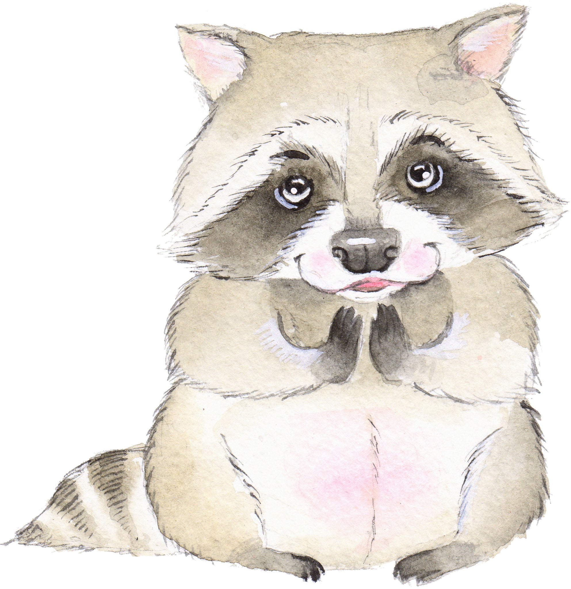 cute baby raccoon drawing