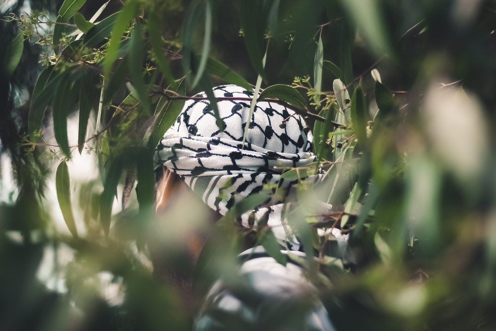 guy wearing traditional keffiyeh scarf in an olive grove