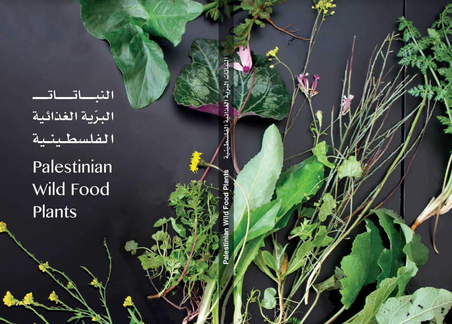 Palestinian Wild Food Plants Book