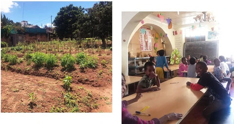 Photo of green crops in a small garden, next to photo of smiling school children at a table