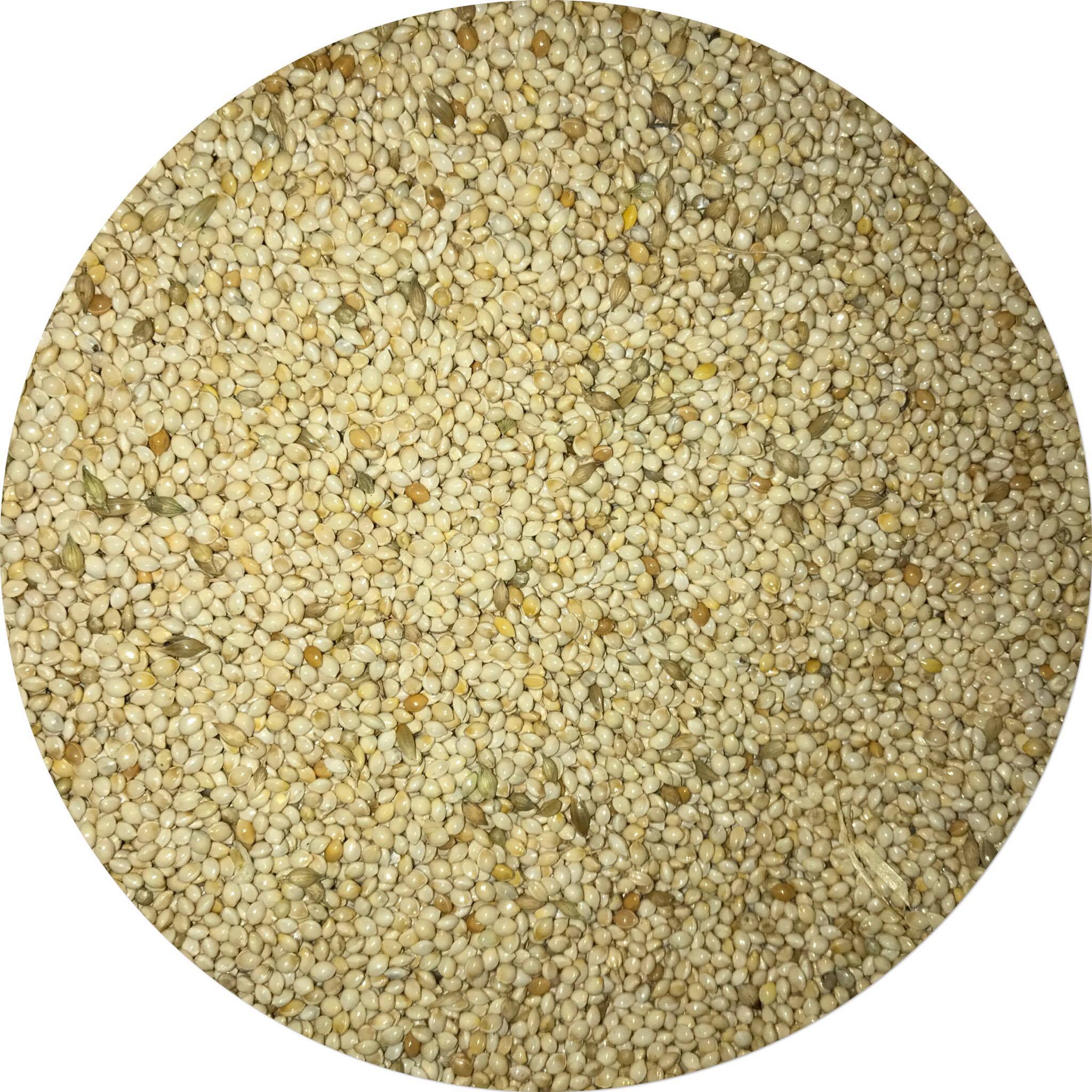 White French Millet – Coopers Rural & Hardware.