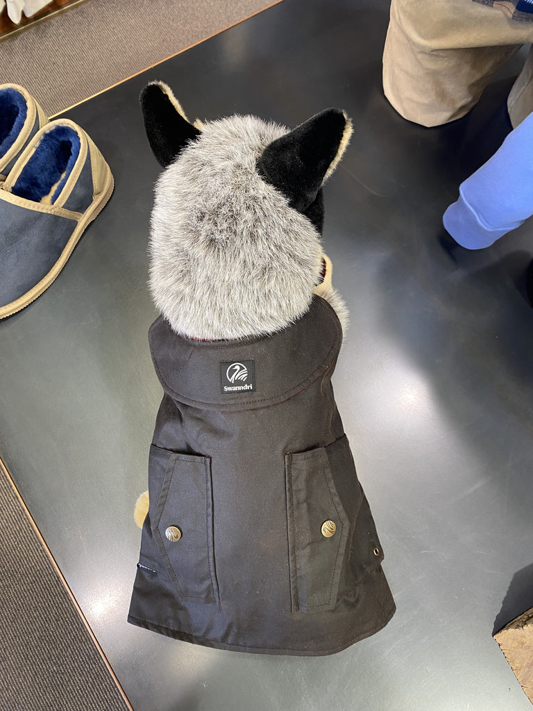 swanndri oilskin dog