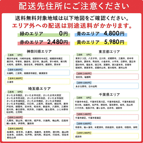 電動自転車 ブリヂストン 電動アシスト自転車 2021年 フロンティアDX