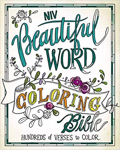 Coloring Bible cover