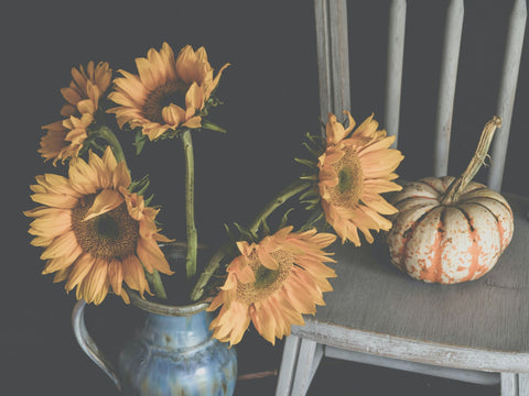 Sunflower with pumpkin