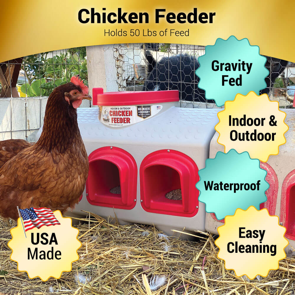 OverEZ Chicken Classic Feeder Features