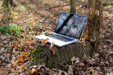 Laptop in the woods