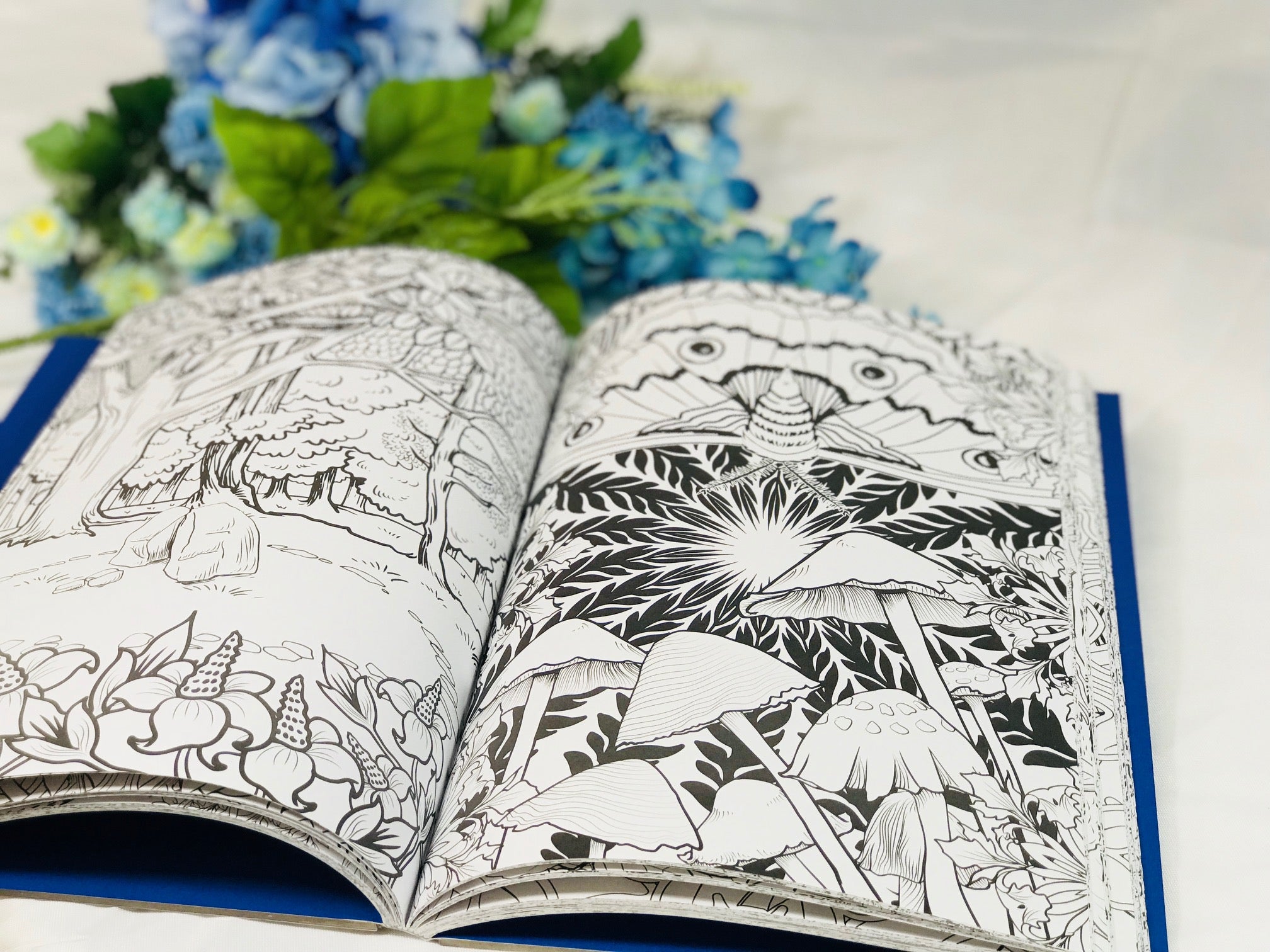Download The Enchanted Forest Art Therapy Adult Coloring Book - HavenTree