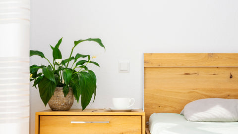 A peace lily sitting on a nightstand in a neutral, bright bedroom